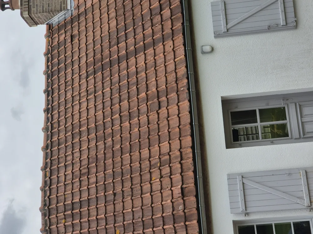 Toiture avant nettoyage